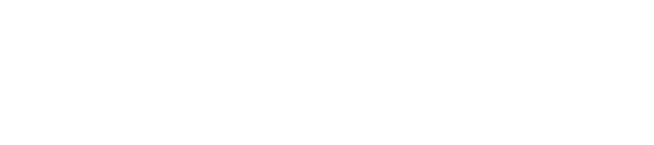 NEMO